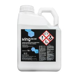 Fungicid KING 250 EW - 5 Litri, Sharda, Tebuconazol, Grau, Mar, Vita de vie, Rapita