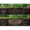 Hidrogranulat organic GROWIT® - 20 kg, Witasek, Retine apa si nutrientii in sol, Activ 3-5 ani, Pentru toate culturile