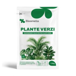 BLOOMELIA PLANTE VERZI - 20 gr, Ingrasamant hidrosolubil echilibrat, Macro, Microelemente, NPK 18-18-18