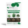 BLOOMELIA INRADACINARE - 20 gr, Ingrasamant hidrosolubil, Rasaduri, Butasi, Puieti, NPK 13-40-13