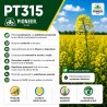 Semințe rapiță Pioneer PT315 – 2 Milioane semințe, 4 Ha, Organic Integral Pro, rezistență la scuturare, toleranță la secetă