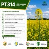 Semințe rapiță Pioneer PT314 – 2 Milioane semințe, 4 Ha, Organic Integral Pro, cu rezistență la scuturare și toleranță la TuYV