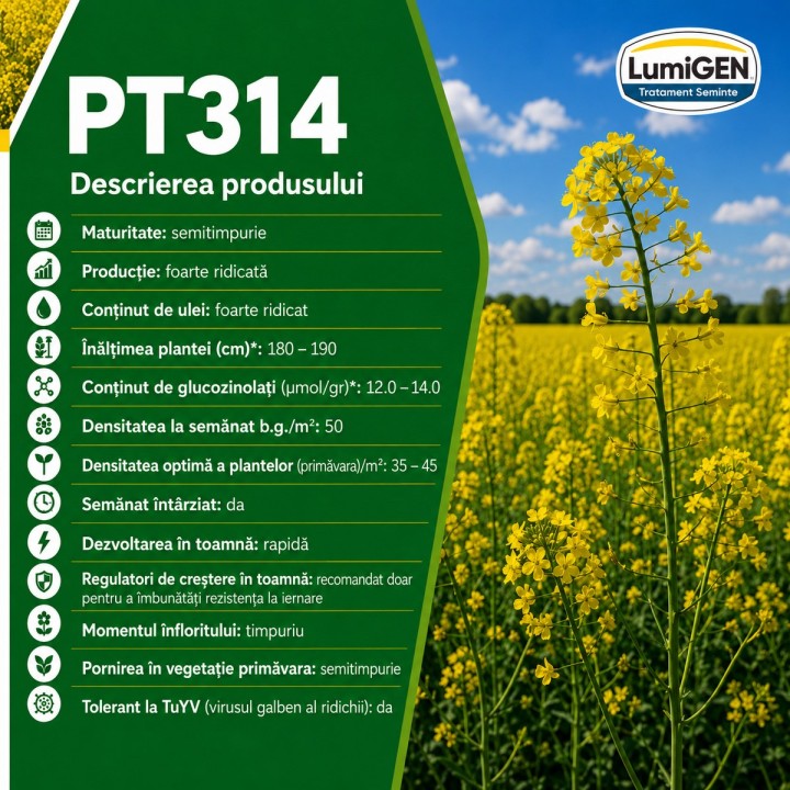 Seminte rapita Pioneer PT314 - Rezistenta la scuturare