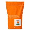 UMBERTO KWS - Seminte Rapita Hibrid Semi-Tardiv sac 1,5 Milioane seminte