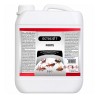 Insecticid ECTOCID® T Forte  5 Litri, Promedivet, Concentrat pentru dezinsecție, Combate insectele Târâtoare și Zburătoare