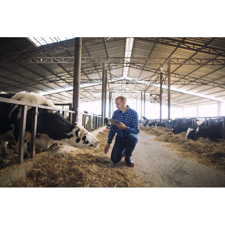 OPTILIT 5 kg – Pulbere absorbantă și dezinfectantă | Carmeuse