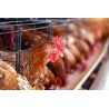 OPTILIT® 25 kg - Pulbere absorbantă și dezinfectantă pentru igiena așternutului animalelor, Carmeuse