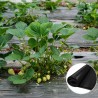 Folie MULCIRE Neagra Neperforata - pachet 1 x 50 m