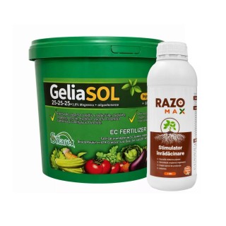Pachet SMART-MIX 460 - GELIASOL 25-25-25+MgO+Me 5 kg + RAZOMAX PLUS 1 L