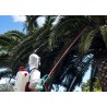 Lance telescopică PULMIC 5 m pentru pulverizare la înălțime, compatibilă cu gama PEGASUS