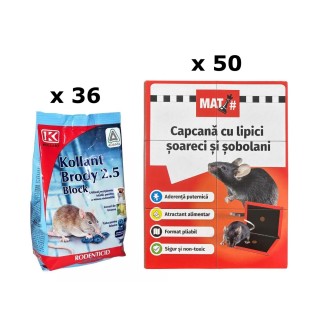 Pachet SMART-MIX 472 - Raticid BRODY 2.5 Block, Kollant 300 g (x 36 buc) + Capcane tip Carte MAT (x 50 buc)