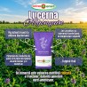 Sămânță lucernă ALGONQUIN C1, Drajată, Primasementi - 10 kg
