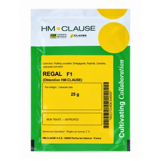 REGAL F1 25 g - Semințe Castraveți Cornichon, Clause
