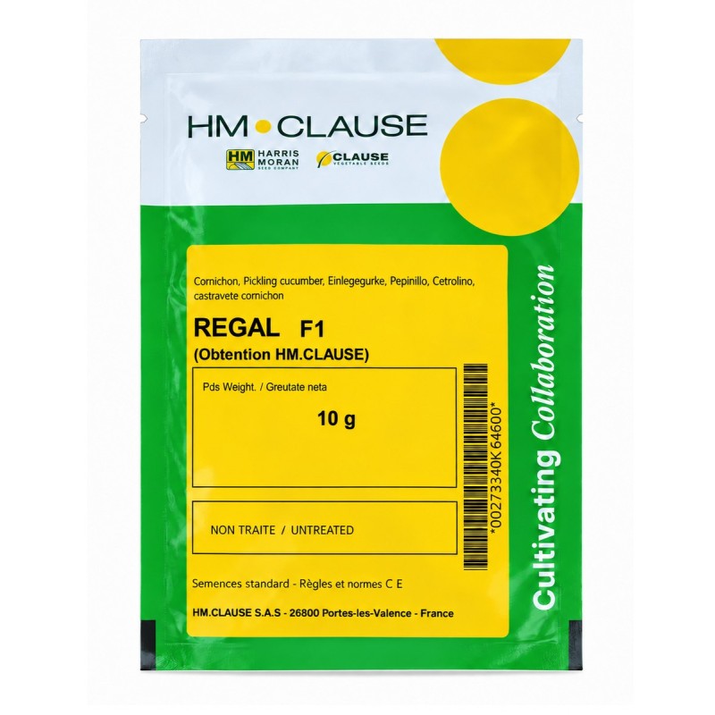 REGAL F1 10 g - Semințe Castraveți Cornichon, Clause