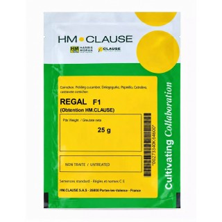 REGAL F1 25 g - Semințe Castraveți Cornichon | Clause