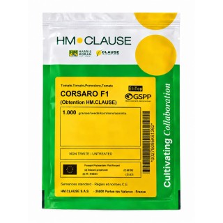 CORSARO F1 - Conopidă 1.000 semințe | Clause