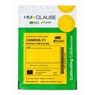 CANOVA F1 250 semințe - Tomate nedeterminate | Clause