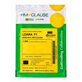 LOARA F1 - Tomate roz, 1.000 semințe | Clause