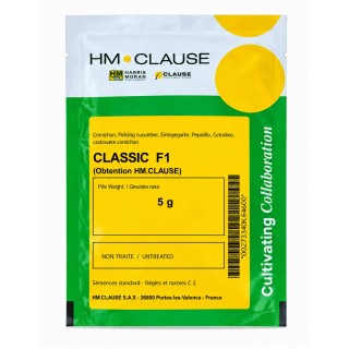 CLASSIC F1 - Semințe vinete 5 g | Clause