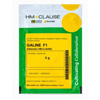 GALINE F1 5 g - Semințe vinete | Clause