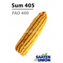 Seminte porumb Sum 405 - Saaten Union (FAO 400)