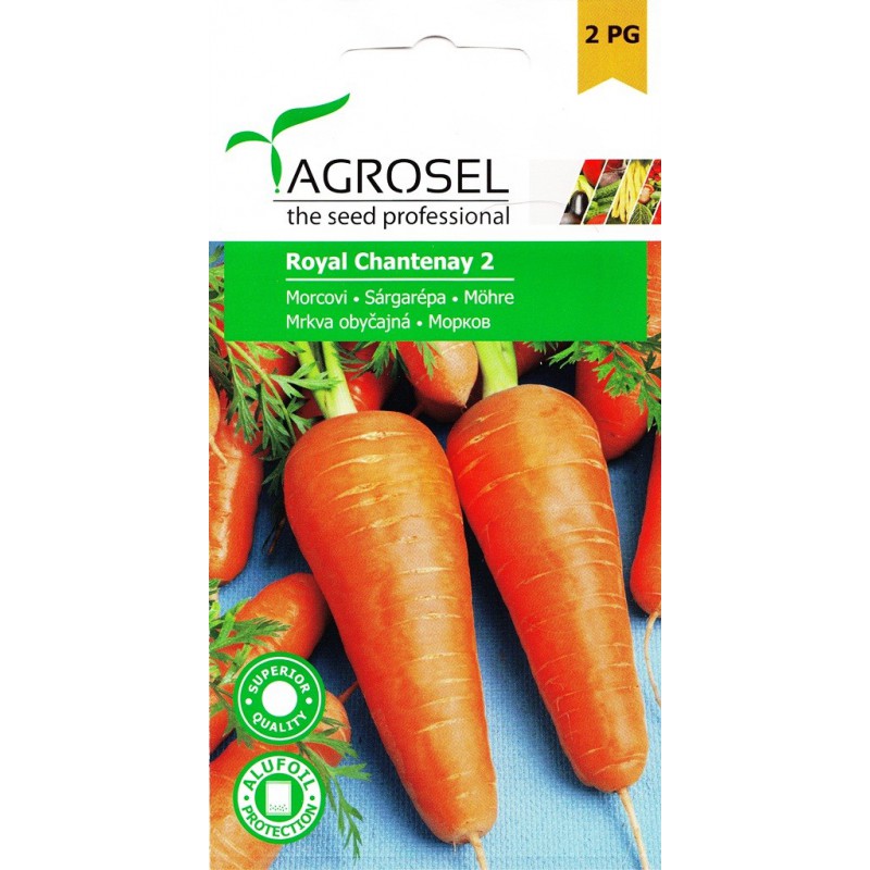 Seminte Morcovi ROYAL CHANTENAY 2 Agrosel - 5 g