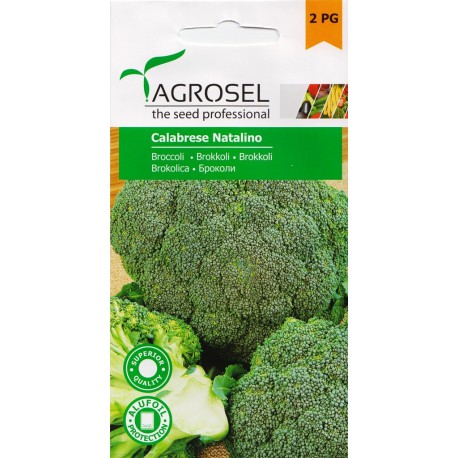 Seminte broccoli Calabrese Natalino - 2 gr.