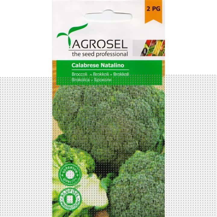 Seminte broccoli Calabrese Natalino - 2 gr. Seminte broccoli Calabrese Natalino - 2 gr.