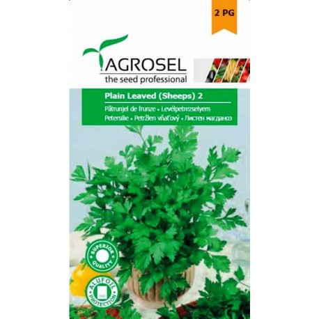 Seminte Patrunjel frunze PLAIN LEAVED 2 Agrosel - 5 g