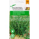 Seminte ROZMARIN Agrosel - 0,1 g