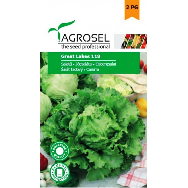Seminte Salata GREAT LAKES 118 Agrosel - 3 g Seminte Salata GREAT LAKES 118 Agrosel - 3 g