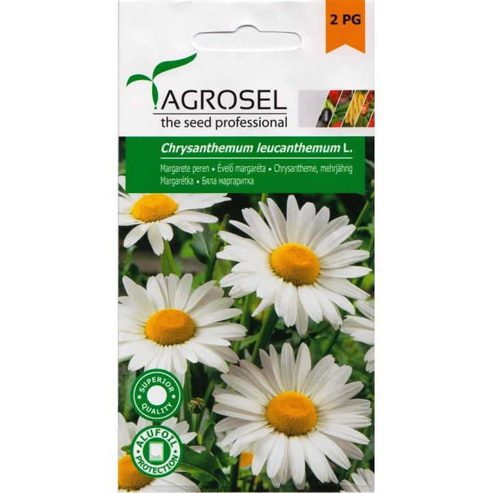 Seminte flori Margarete Perene Agrosel - 2 gr. Seminte flori Margarete Perene Agrosel - 2 gr.