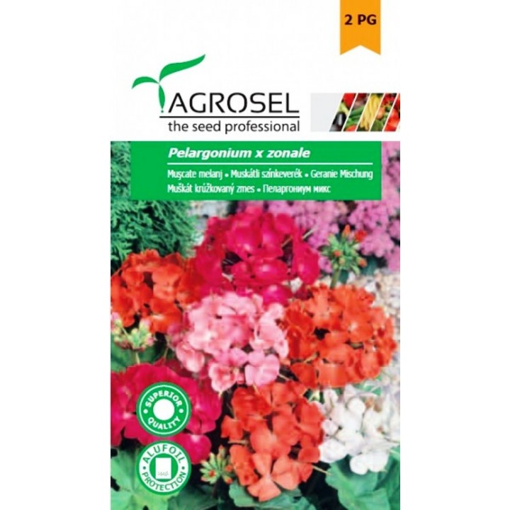Seminte flori Muscate melanj Agrosel - 0,08 gr. Seminte flori Muscate melanj Agrosel - 0,08 gr.