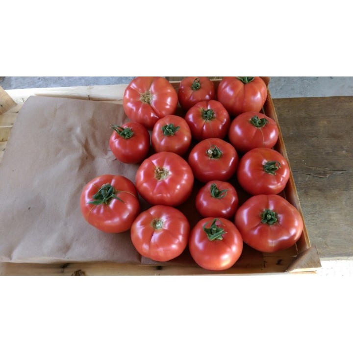 Seminte Tomate HONEY MOON F1 Clause - 250 seminte