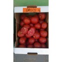 Seminte Tomate OASIS F1 Clause, 100 seminte