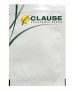 Seminte Vinete CLASSIC F1 Clause - 5 g