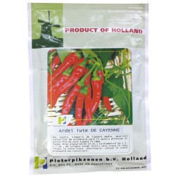 Seminte Ardei iute DE CAYENNE PPZ Olanda - 10 g