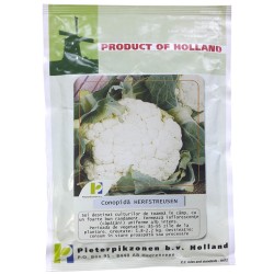 Seminte Conopida HERFSTREUZEN PPZ Olanda - 10 g