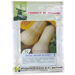 Seminte Dovleac de copt WALTHAM BUTTERNUT PPZ Olanda - 10 g