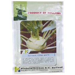 Seminte Gulioare VIENA WHITE PPZ Olanda - 10 g