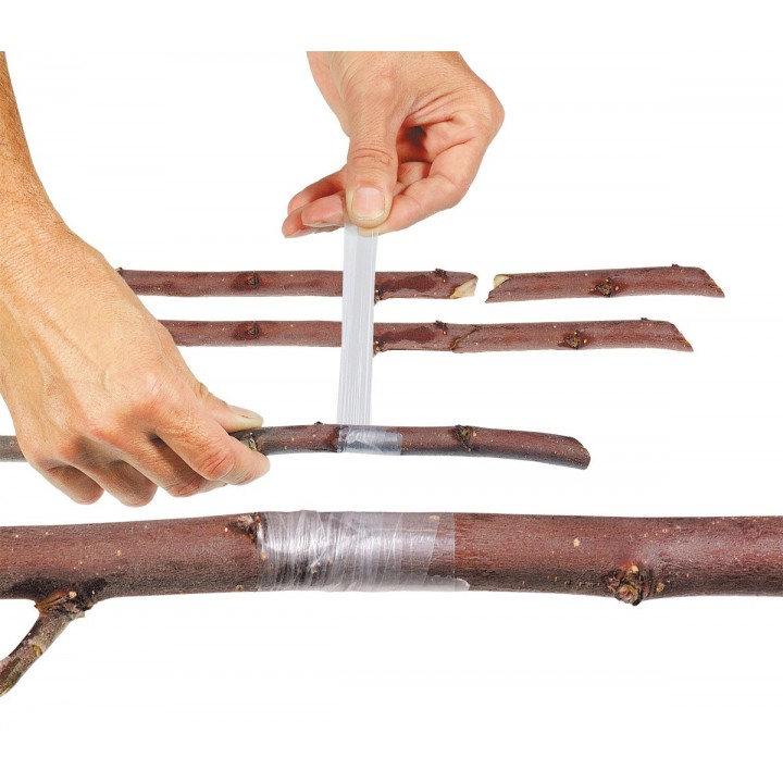 Banda pentru altoit Buddy Tape 25 mm x 5 m (fara perforatii)