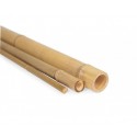 Tutori din bambus (180 cm)