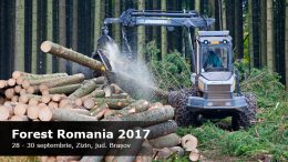 Targ forestier - Forest Romania 2017