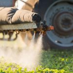Utilizarea pesticidelor Afrasa: erbicide, fungicide și insecticide