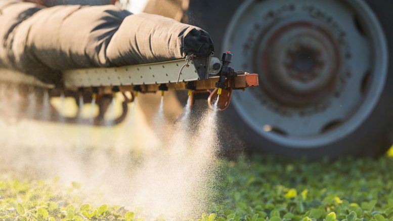 Utilizarea pesticidelor Afrasa: erbicide, fungicide și insecticide
