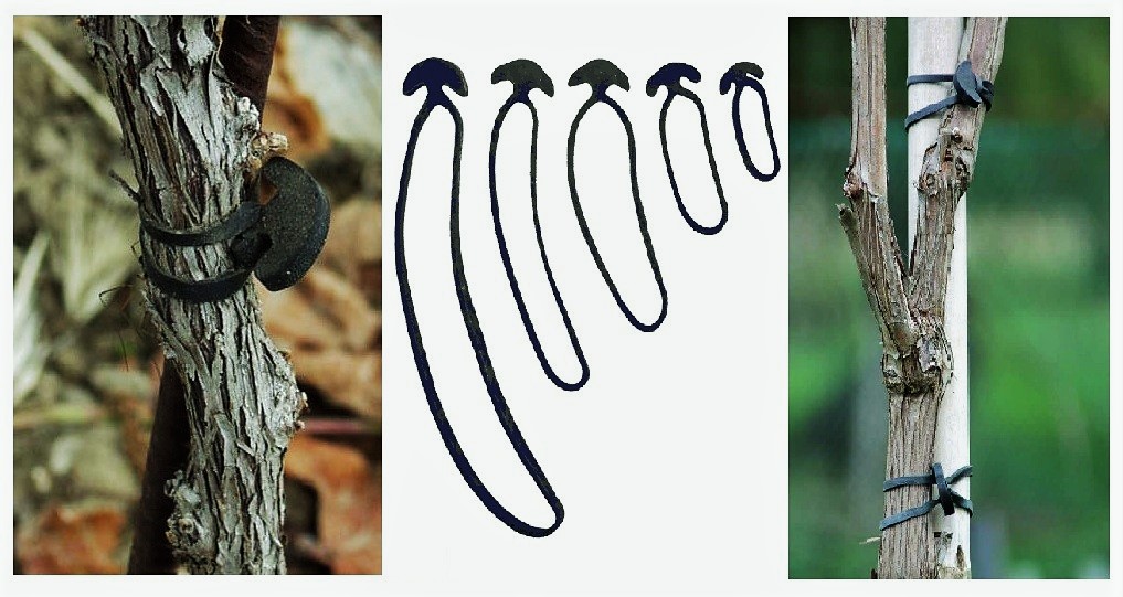 guma-de-legat-elastica-5-cm