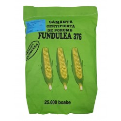 Samanta porumb FUNDULEA 376 - 25.000 boabe - Sac verde