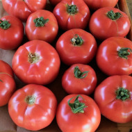 Seminte Tomate HONEY MOON F1 Clause - 250 seminte