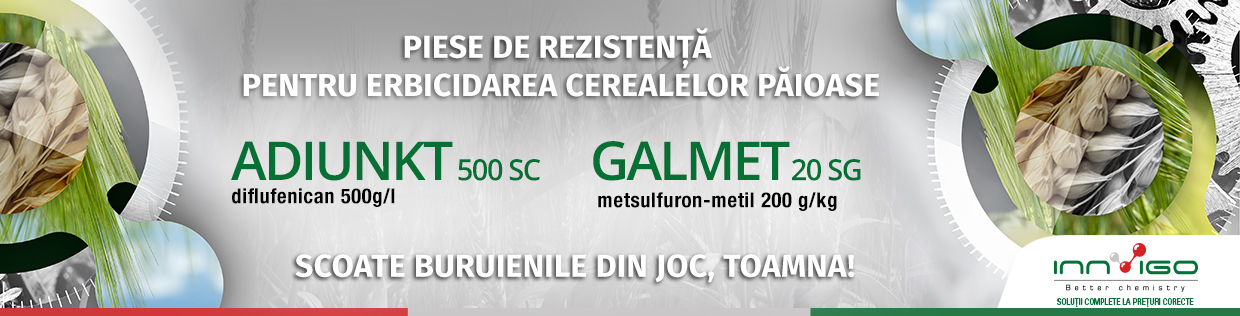Category Banner