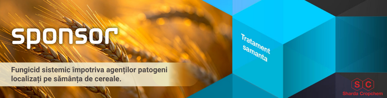 Category Banner